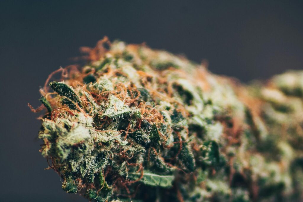 CBD és THC – fontos tisztázni a különbséget