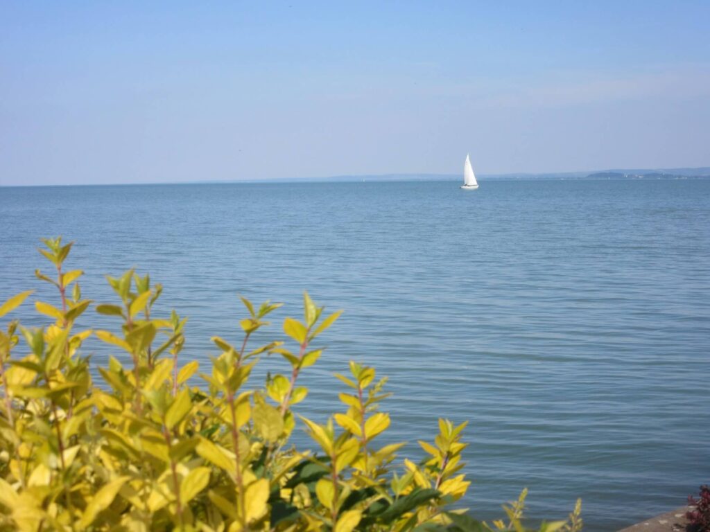 Elmész a Balatonra, és vitorlázni szeretnél. Bérelsz egy vitorlást. Ehhez kell engedély, vagy sem?