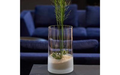 Mini dzsungel az otthonodban: a florárium