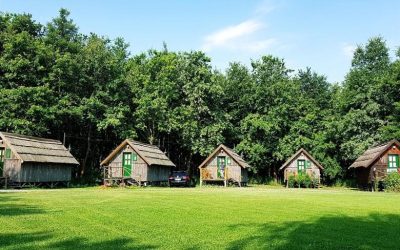 Erdei esküvőt terveztek? Ezekre jó, ha figyeltek!