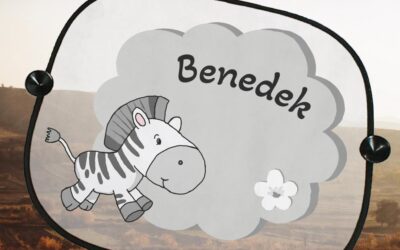 Hogyan biztosítsd gyermekeidnek a kényelmet és biztonságot autós utazás közben?